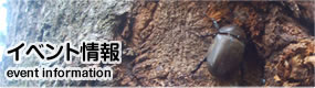 イベント情報