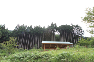 メインイメージ