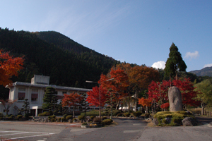 メインイメージ