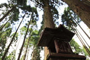 メインイメージ