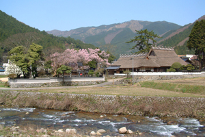 メインイメージ