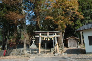 メインイメージ