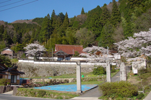 メインイメージ