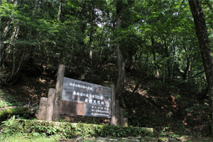 メインイメージ