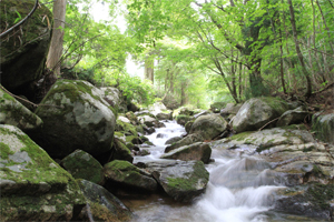 メインイメージ