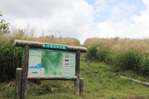 メインイメｰジ