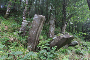 メインイメージ