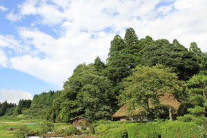 メインイメージ